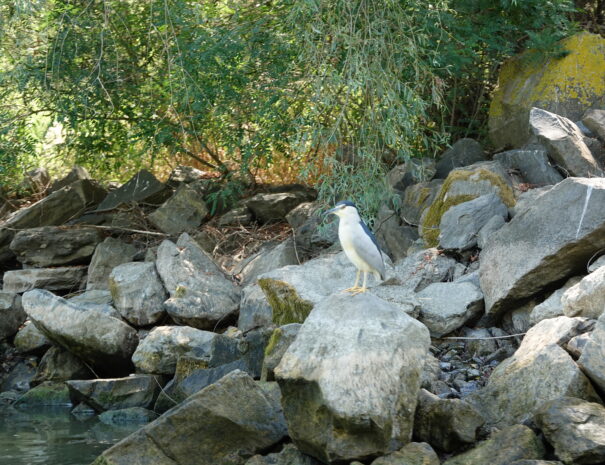 DSC00060