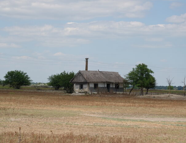 DSC00154