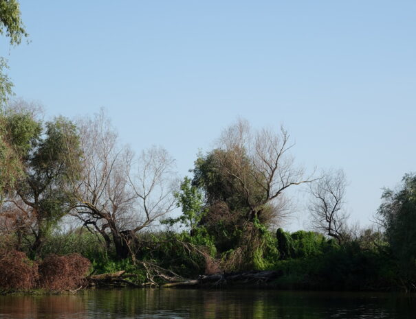 DSC00192