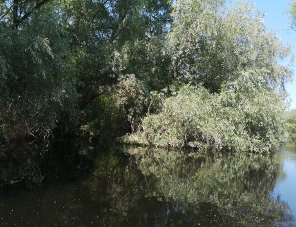 IMG-20230928-WA0005