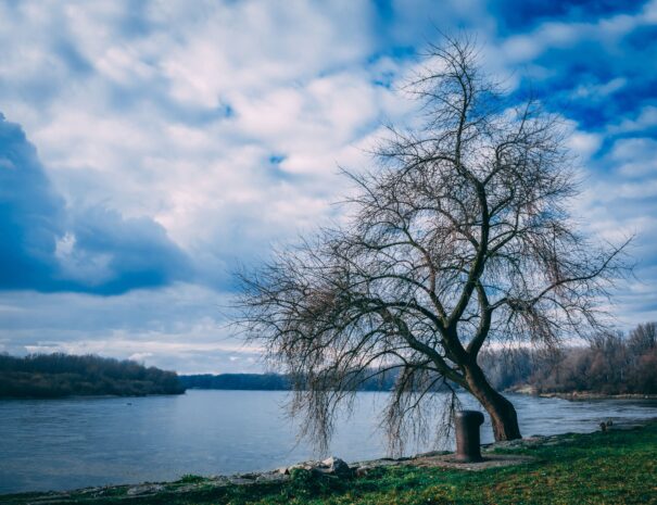 blue-sky-clouds-danube-river-831059-min